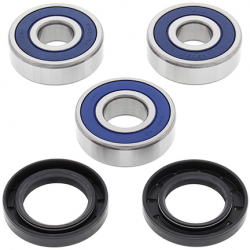 All Balls, sada ložisek a gufer zadního kola, Honda VT 600 C '88-'00, CBR 600 F '87-'90, CB 750 SEVEN FIFTY '91-'02, CB450SC`